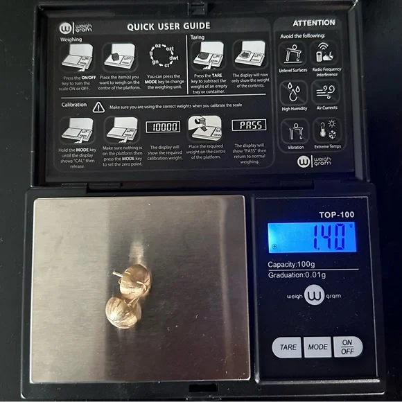 14k Solid Brushed Gold Sand Dollar Stud Earrings - Picture 9 of 16